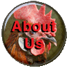 About Us button
