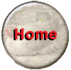 Home button